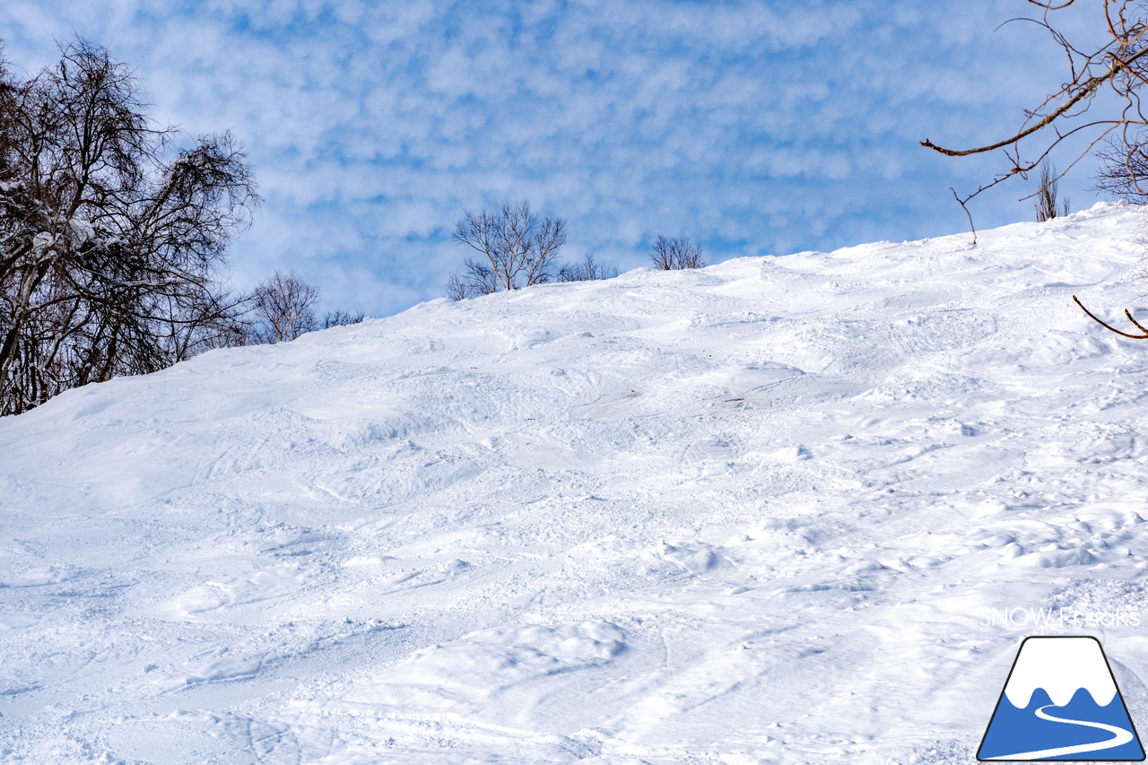 札幌藻岩山スキー場｜ふわっふわの粉雪シーズン到来！思いっきり多彩なコースを楽しみましょう！